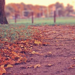الأبجدية بطاقات آمن 4