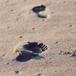 الأبجدية بطاقات متين 2
