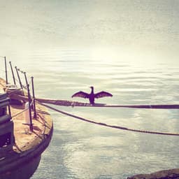 الأدوات طاولة ممتع 1